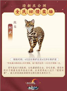 天龙八部私服游戏bug
